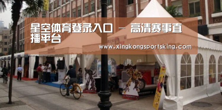 案例标题九