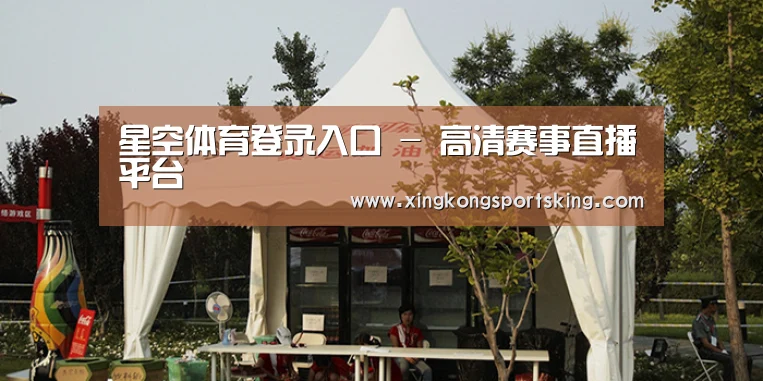 案例标题五