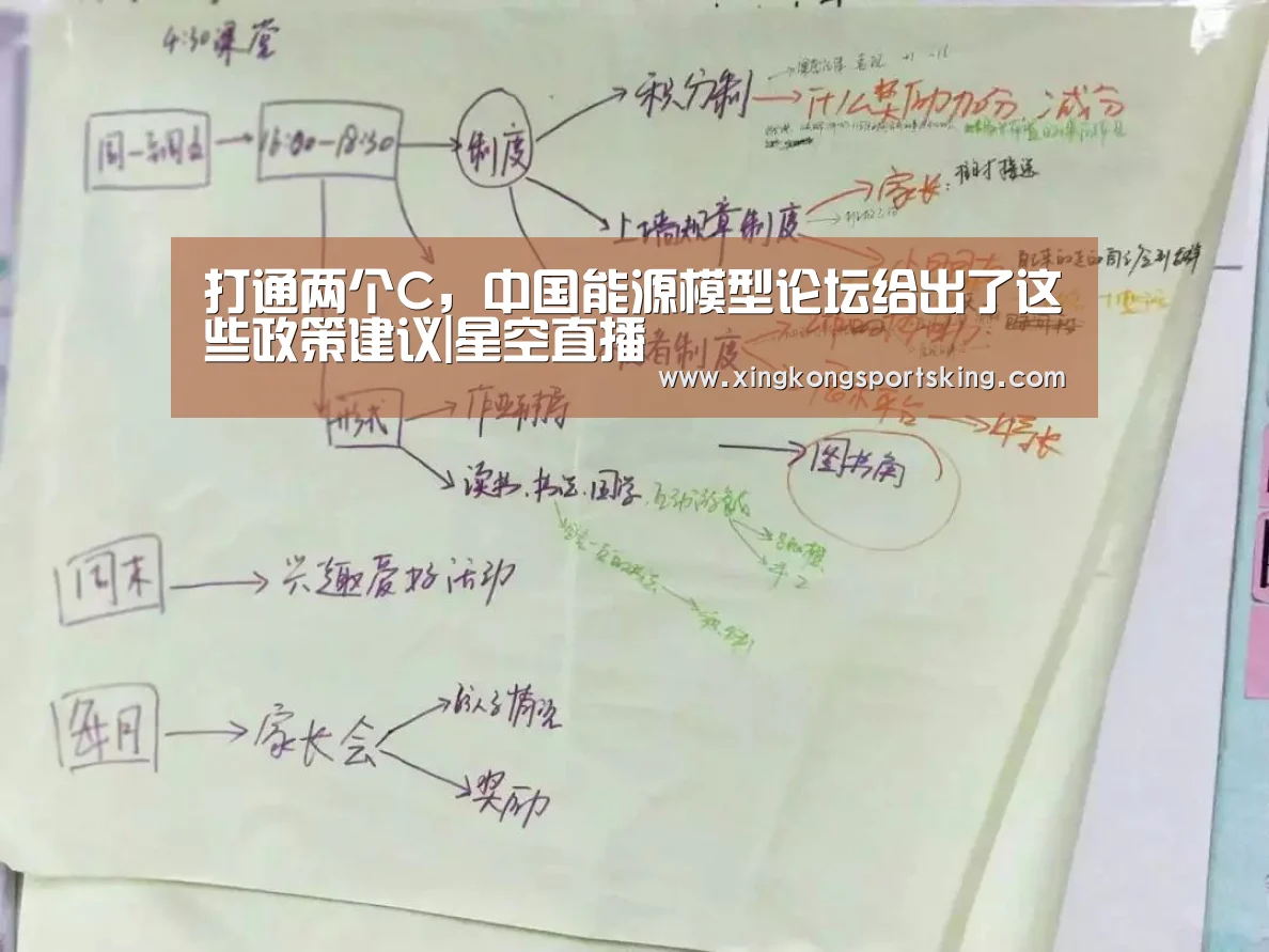 打通两个C，中国能源模型论坛给出了这些政策建议|星空直播