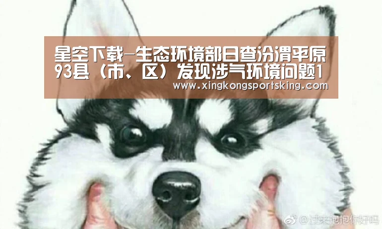 星空下载-生态环境部日查汾渭平原93县(市、区)发现涉气环境问题110个(8月22日)