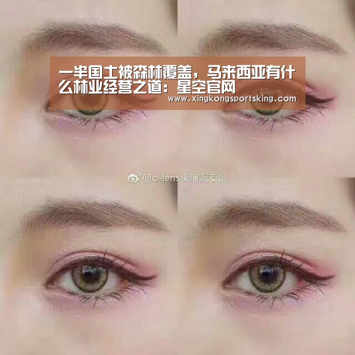 一半国土被森林覆盖,马来西亚有什么林业经营之道:星空官网