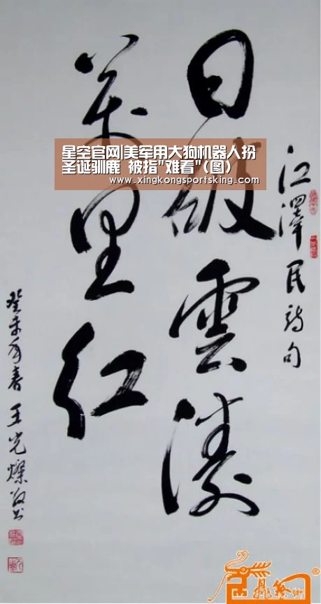 星空官网|美军用大狗机器人扮圣诞驯鹿 被指