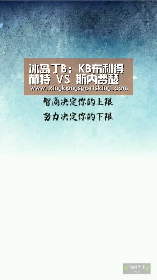 冰岛丁B: KB布利得赫特 VS 斯内费瑟斯赛出小球比分0:1【星空竞猜】