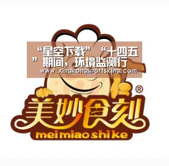 “星空下载”“十四五”期间,环境监测行业将迎来哪些机遇和挑战?