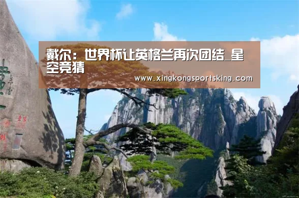 戴尔:世界杯让英格兰再次团结_星空竞猜(图3) 星空下载